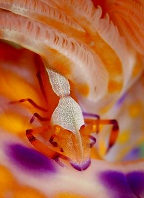 �����@��l